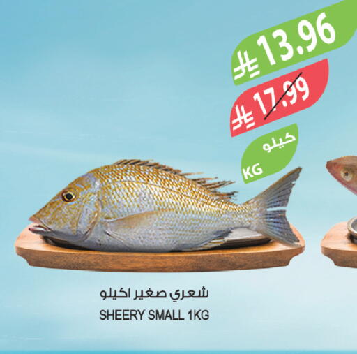 available at المزرعة in مملكة العربية السعودية, السعودية, سعودية - الخبر‎