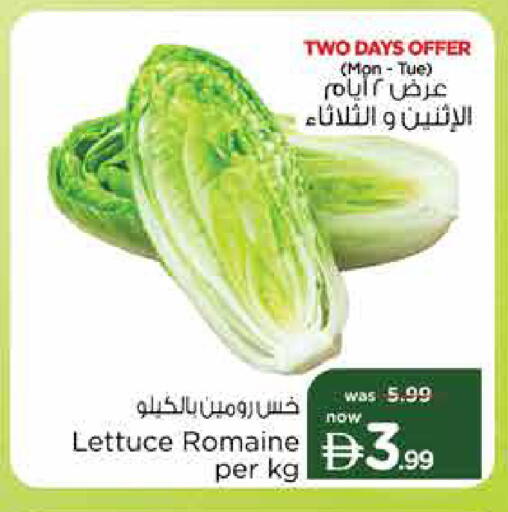 Lettuce available at Nesto Hypermarket in UAE - Sharjah / Ajman