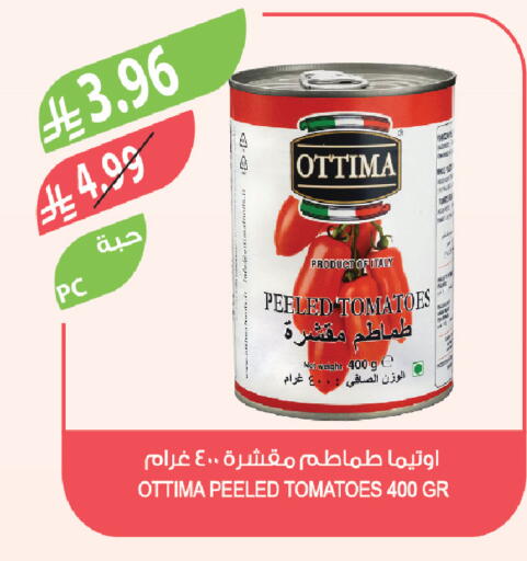 Tomato available at Farm  in KSA, Saudi Arabia, Saudi - Arar