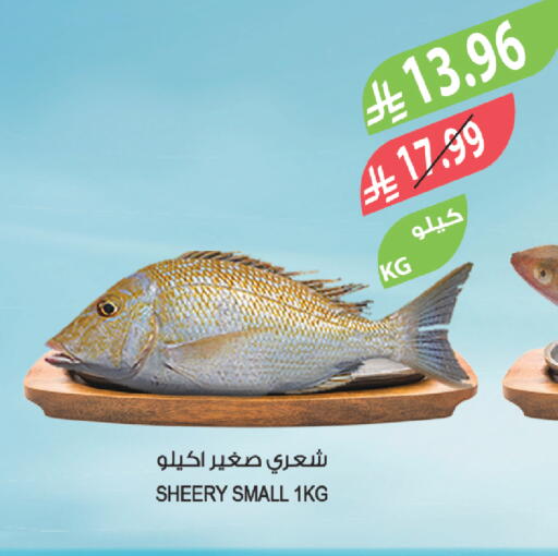 available at المزرعة in مملكة العربية السعودية, السعودية, سعودية - أبها