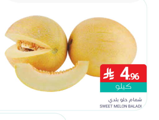 Melon available at Muntazah Markets in KSA, Saudi Arabia, Saudi - Dammam