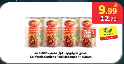 available at الراية in مملكة العربية السعودية, السعودية, سعودية - بيشة