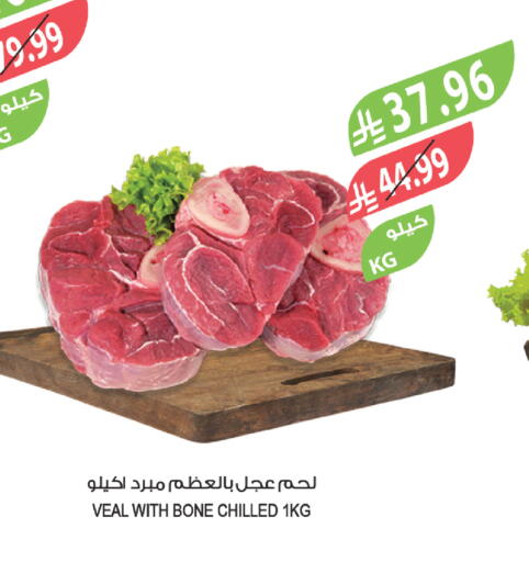 available at المزرعة in مملكة العربية السعودية, السعودية, سعودية - ينبع