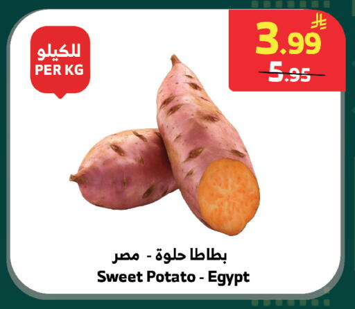 Sweet Potato from Egypt available at الراية in مملكة العربية السعودية, السعودية, سعودية - بيشة