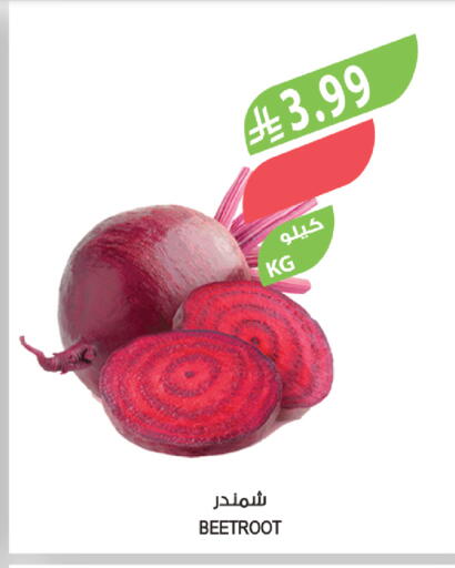 Beetroot available at المزرعة in مملكة العربية السعودية, السعودية, سعودية - أبها