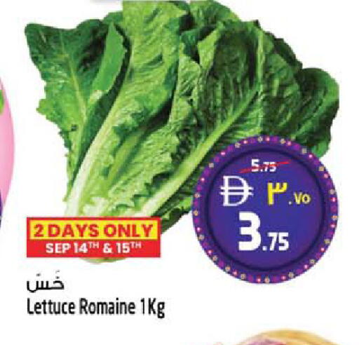 Lettuce available at سفاري هايبرماركت in الإمارات العربية المتحدة , الامارات - دبي