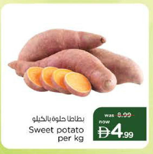 Sweet Potato available at نستو هايبرماركت in الإمارات العربية المتحدة , الامارات - ٱلْعَيْن‎
