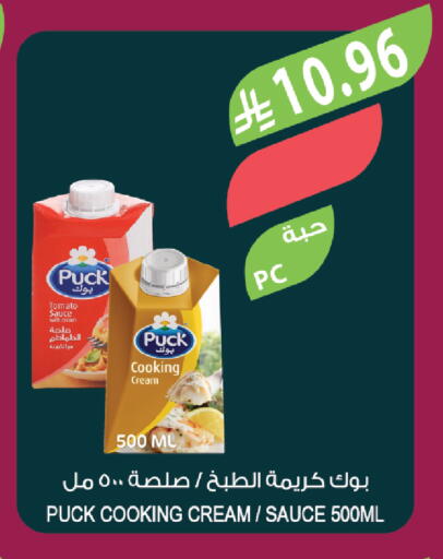 Tomato available at Farm  in KSA, Saudi Arabia, Saudi - Jazan