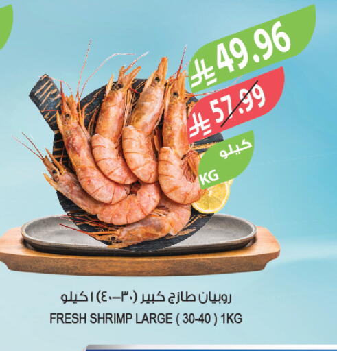 available at المزرعة in مملكة العربية السعودية, السعودية, سعودية - أبها