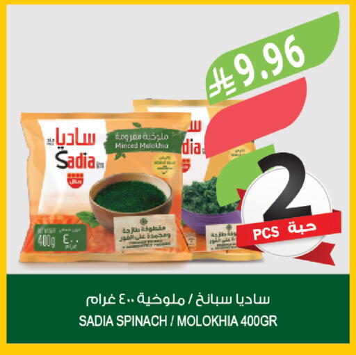 Spinach available at المزرعة in مملكة العربية السعودية, السعودية, سعودية - ينبع