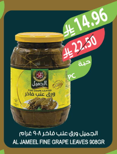 available at المزرعة in مملكة العربية السعودية, السعودية, سعودية - ينبع