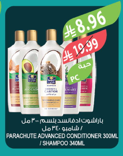 Coconut available at Farm  in KSA, Saudi Arabia, Saudi - Tabuk