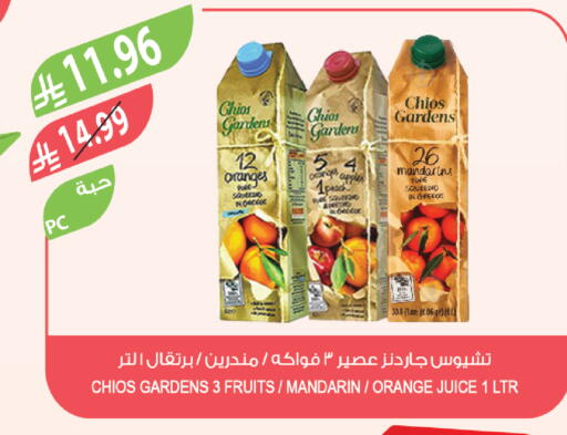 Mandarin Orange available at المزرعة in مملكة العربية السعودية, السعودية, سعودية - ينبع