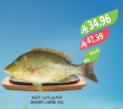 available at المزرعة in مملكة العربية السعودية, السعودية, سعودية - الخبر‎