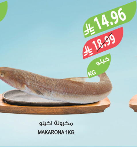 available at المزرعة in مملكة العربية السعودية, السعودية, سعودية - أبها