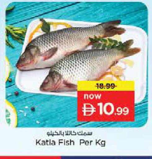 available at نستو هايبرماركت in الإمارات العربية المتحدة , الامارات - ٱلْعَيْن‎