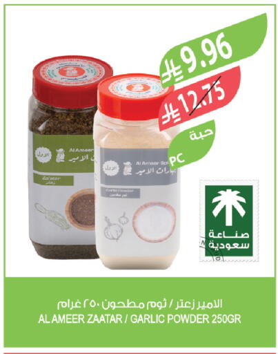 Garlic available at المزرعة in مملكة العربية السعودية, السعودية, سعودية - الخبر‎