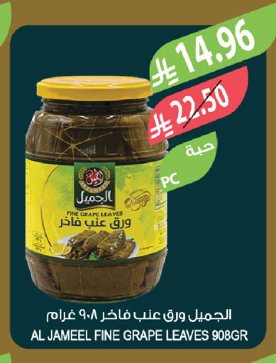 available at المزرعة in مملكة العربية السعودية, السعودية, سعودية - الخبر‎