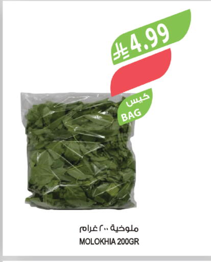 available at المزرعة in مملكة العربية السعودية, السعودية, سعودية - ينبع