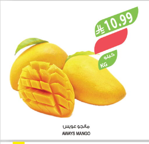 Mango available at المزرعة in مملكة العربية السعودية, السعودية, سعودية - الجبيل‎