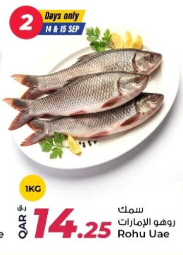available at روابي هايبرماركت in قطر - الوكرة