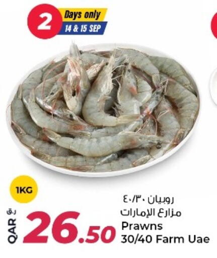 available at روابي هايبرماركت in قطر - الضعاين