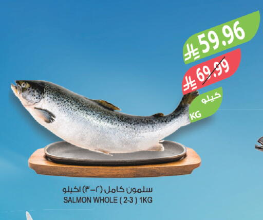 available at المزرعة in مملكة العربية السعودية, السعودية, سعودية - الخبر‎