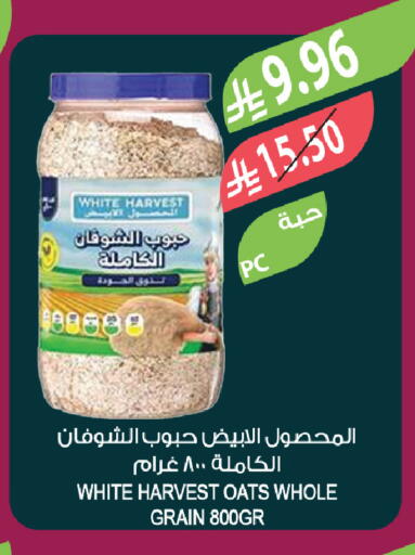 available at المزرعة in مملكة العربية السعودية, السعودية, سعودية - الخبر‎