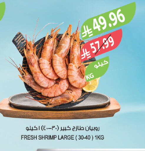 available at المزرعة in مملكة العربية السعودية, السعودية, سعودية - الخبر‎