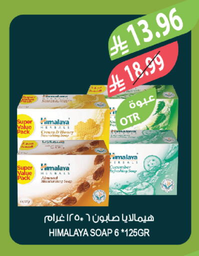 Cucumber available at المزرعة in مملكة العربية السعودية, السعودية, سعودية - نجران