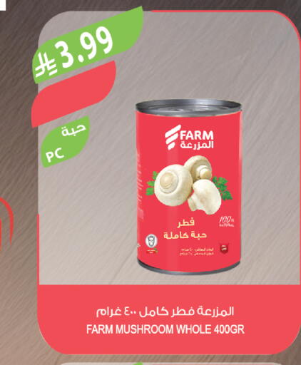 Mushroom available at المزرعة in مملكة العربية السعودية, السعودية, سعودية - ينبع