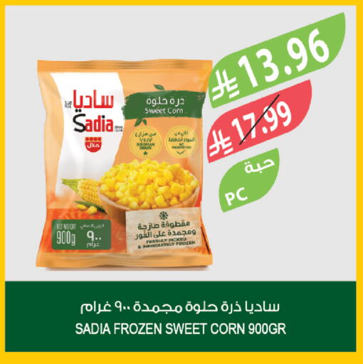 available at المزرعة in مملكة العربية السعودية, السعودية, سعودية - ينبع