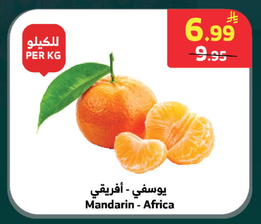 Mandarin available at الراية in مملكة العربية السعودية, السعودية, سعودية - بيشة