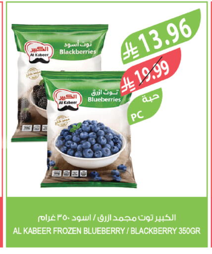 Blueberry BlueBerry Blackberry available at المزرعة in مملكة العربية السعودية, السعودية, سعودية - نجران