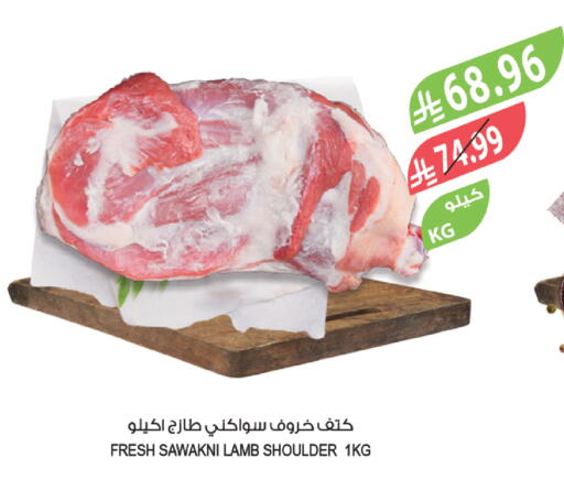 available at المزرعة in مملكة العربية السعودية, السعودية, سعودية - ينبع