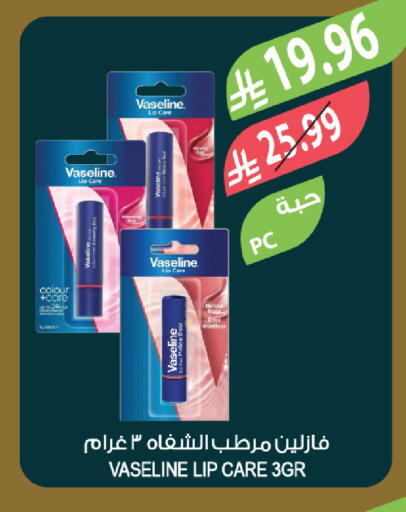 available at المزرعة in مملكة العربية السعودية, السعودية, سعودية - تبوك