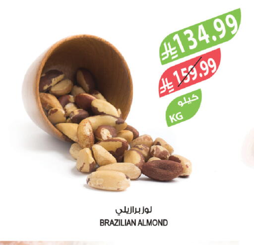 available at المزرعة in مملكة العربية السعودية, السعودية, سعودية - الخبر‎