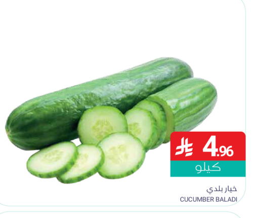 Cucumber available at Muntazah Markets in KSA, Saudi Arabia, Saudi - Dammam