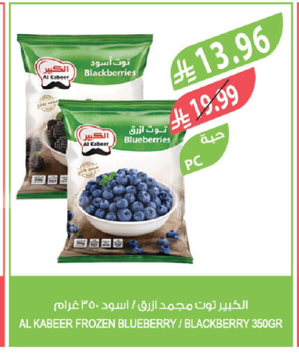 Blueberry BlueBerry Blackberry available at المزرعة in مملكة العربية السعودية, السعودية, سعودية - الخبر‎