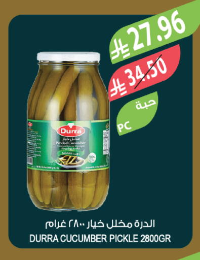 Cucumber available at المزرعة in مملكة العربية السعودية, السعودية, سعودية - ينبع
