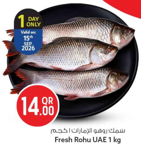 available at سفاري هايبر ماركت in قطر - الوكرة