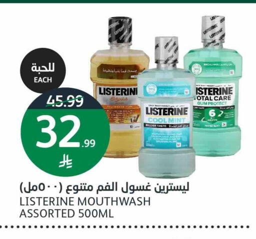 Mint available at أسواق الجزيرة in مملكة العربية السعودية, السعودية, سعودية - الرياض
