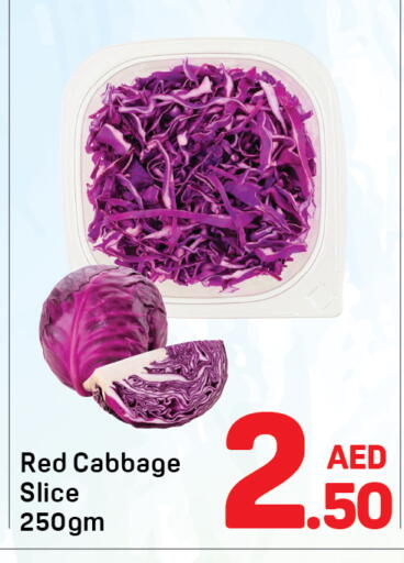 Cabbage available at دي تو دي in الإمارات العربية المتحدة , الامارات - دبي