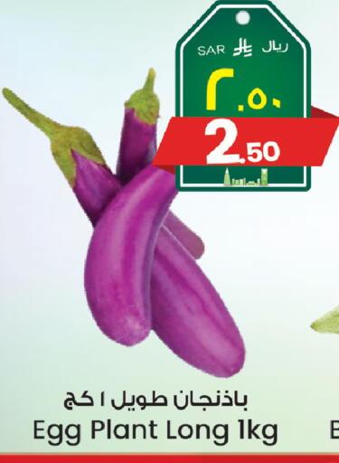 available at ستي فلاور in مملكة العربية السعودية, السعودية, سعودية - حائل‎