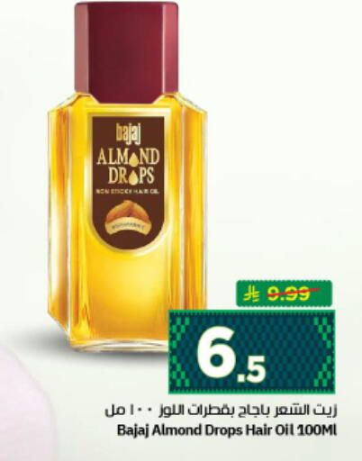 available at نستو in مملكة العربية السعودية, السعودية, سعودية - الرياض
