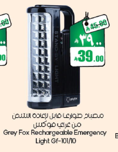 available at ستي فلاور in مملكة العربية السعودية, السعودية, سعودية - ينبع