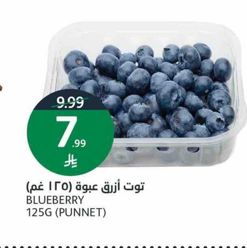 Blueberry BlueBerry available at أسواق الجزيرة in مملكة العربية السعودية, السعودية, سعودية - الرياض