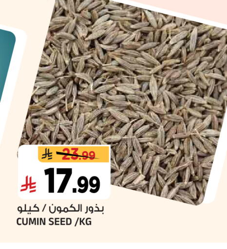 Cumin available at المدينة هايبرماركت in مملكة العربية السعودية, السعودية, سعودية - الرياض