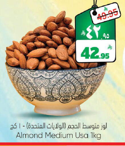available at ستي فلاور in مملكة العربية السعودية, السعودية, سعودية - حائل‎