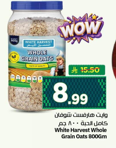available at نستو in مملكة العربية السعودية, السعودية, سعودية - الجبيل‎